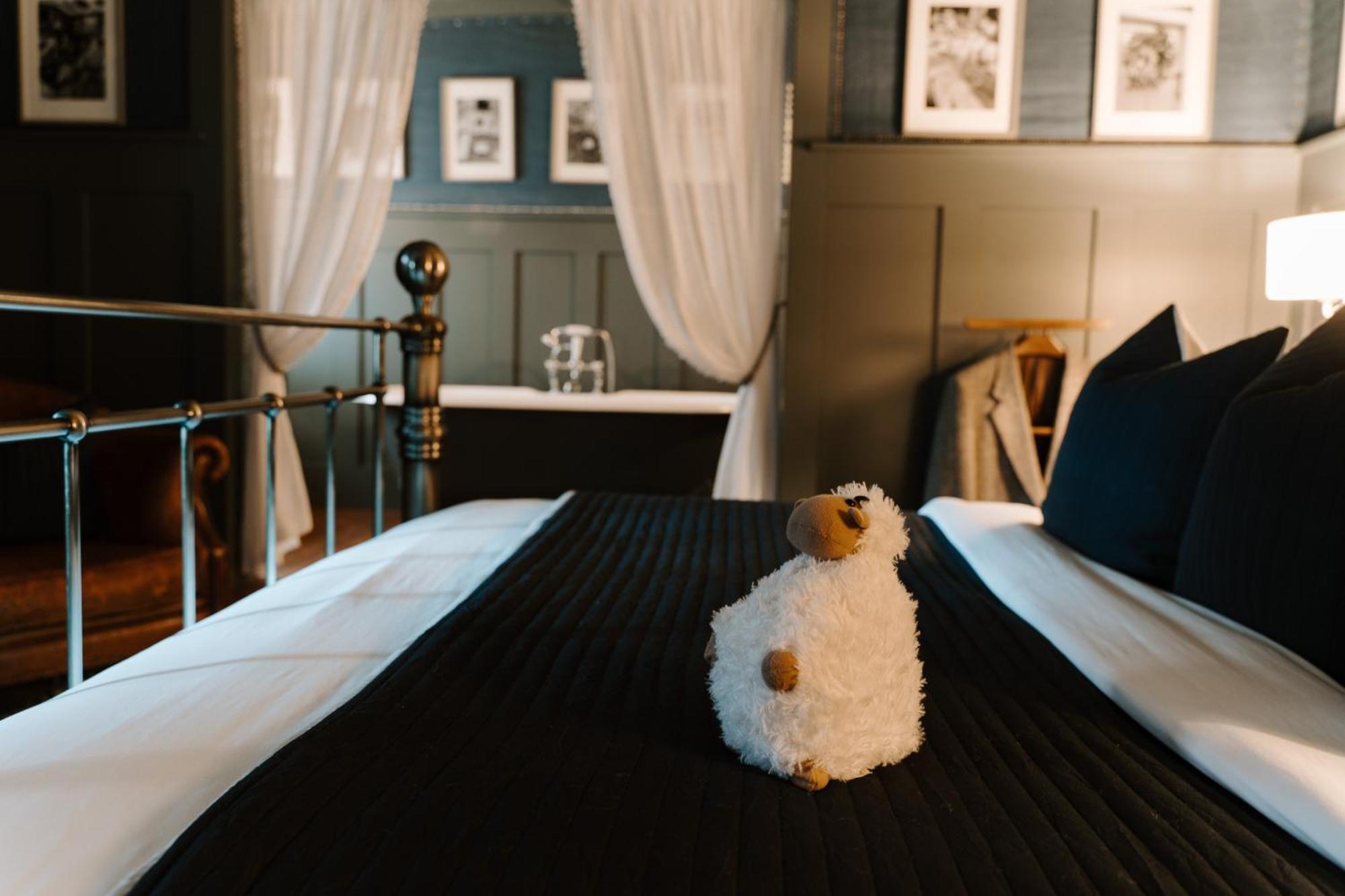Sheddington Manor - 2 Bedroom Guest House & Cinema Belfast Buitenkant foto